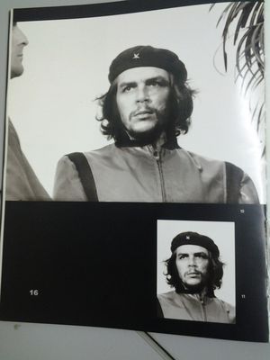 Foto original con las palmeras y el perfil que despu&eacute;s fueron eliminadas