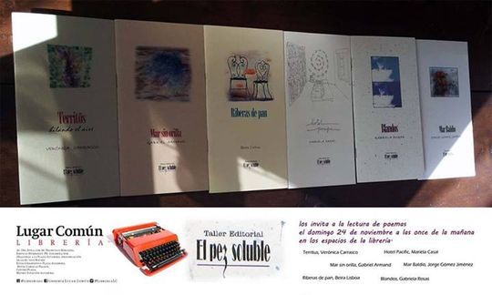 Taller Editorial El Pez Soluble