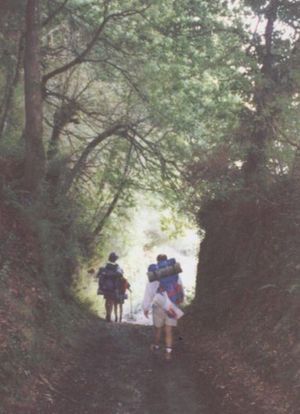 El Camino de Santiago