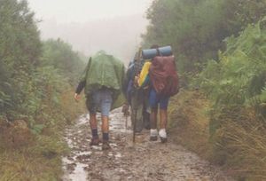 El Camino de Santiago