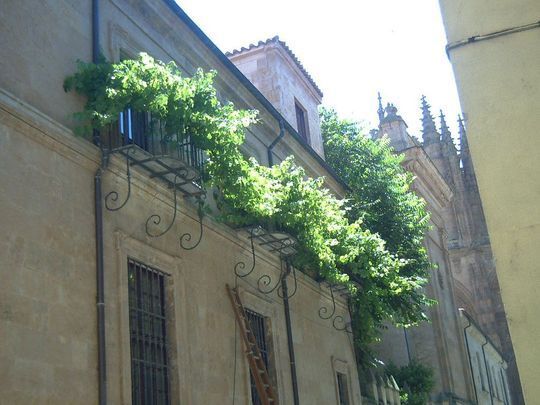 Balc&oacute;n de la Casa de Miguel de Unamuno