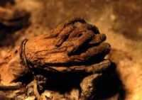 Las manos de Diego Vel�zquez