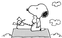 Peanuts