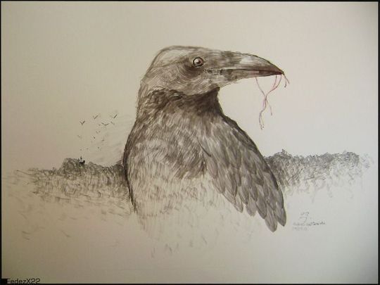 A&ntilde;oranza de un cuervo, por Hong Niao