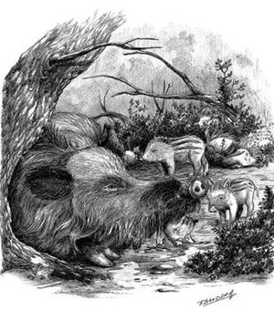 Piel de jabal&iacute;, por An Shiliu