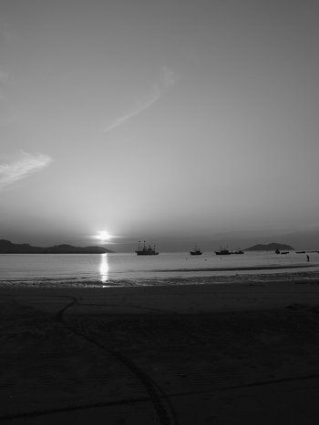 Fotograf&iacute;a: Wilfredo Carrizales